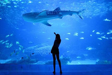 woman in front of an aquarium